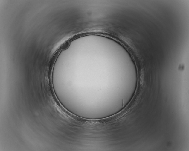 X0000115301452200911161646