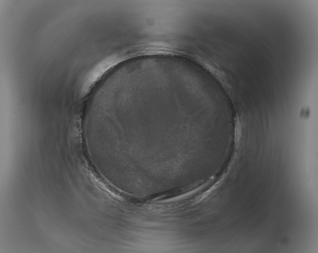 X0000115301453200911161646