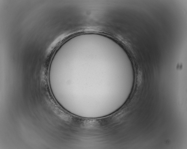 X0000115301454200911161646