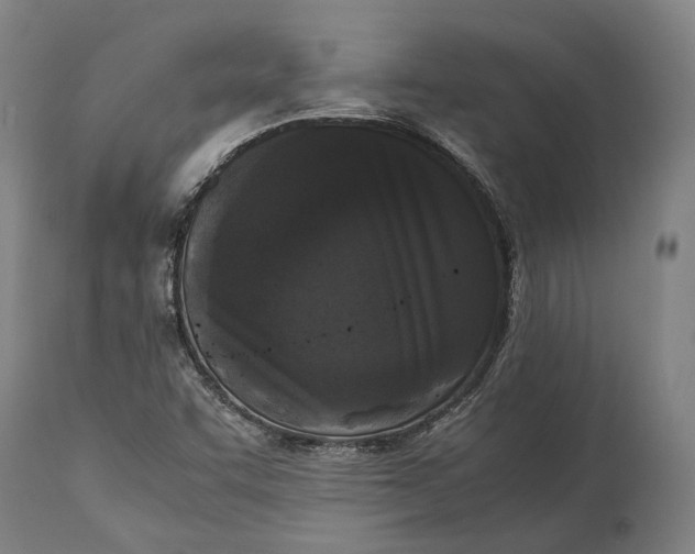 X0000115301455200911161646