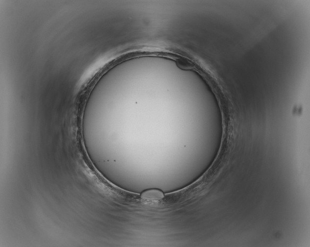 X0000115301456200911161646