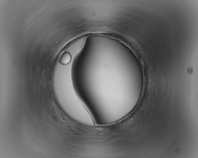 X0000115301457200911161646