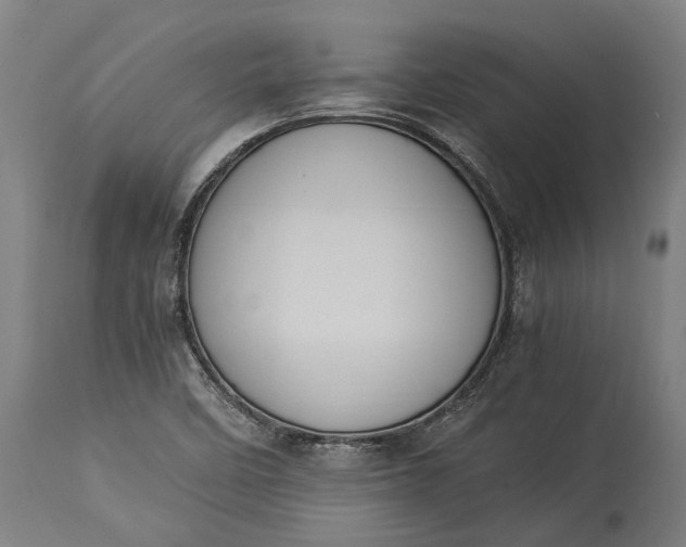 X0000115301458200911161646