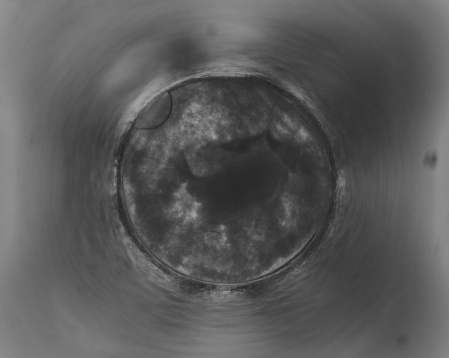 X0000115301459200911161646