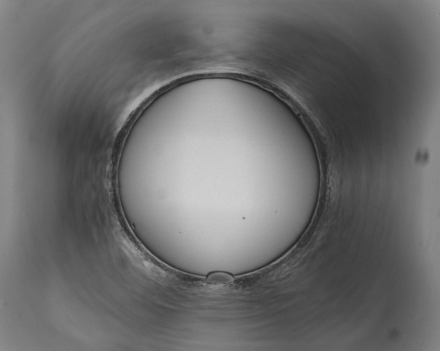 X0000115301460200911161646