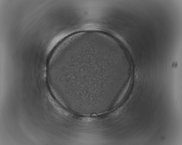 X0000115301461200911161646