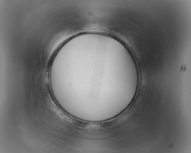 X0000115301462200911161646