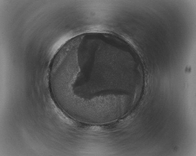 X0000115301463200911161646