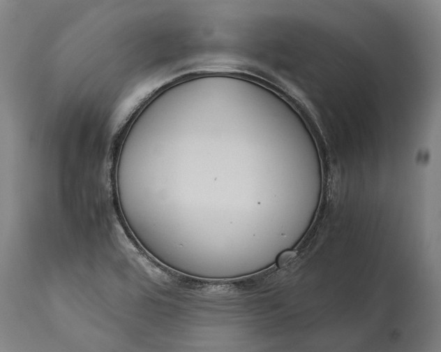 X0000115301464200911161646