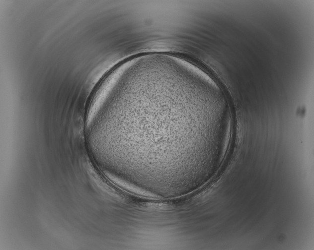 X0000115301465200911161646