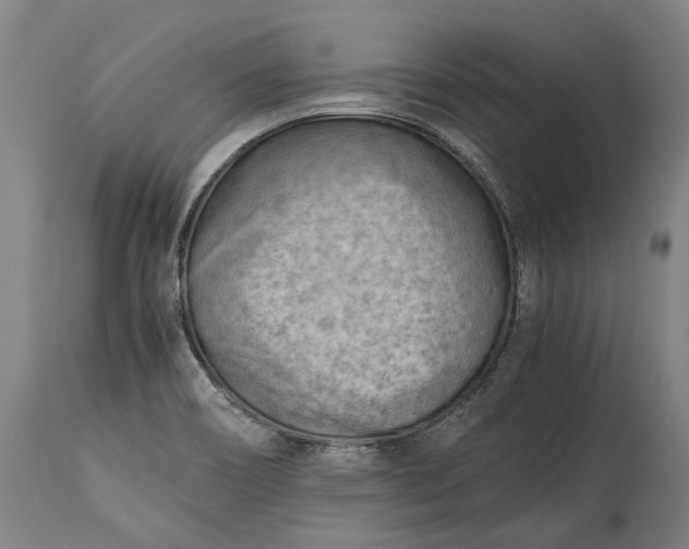 X0000115301466200911161646