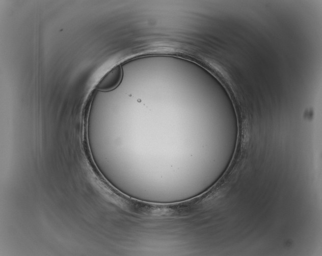 X0000115301467200911161646