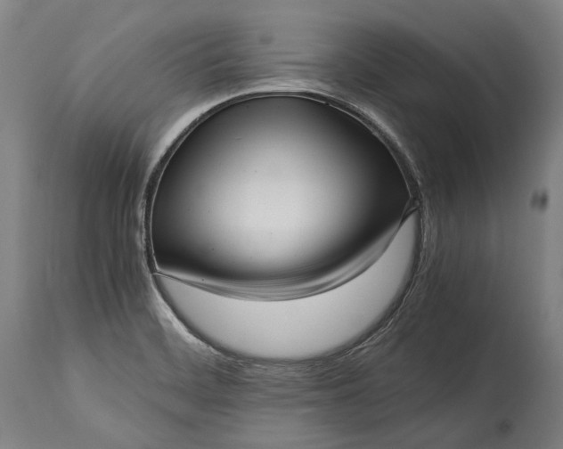 X0000115301468200911161646