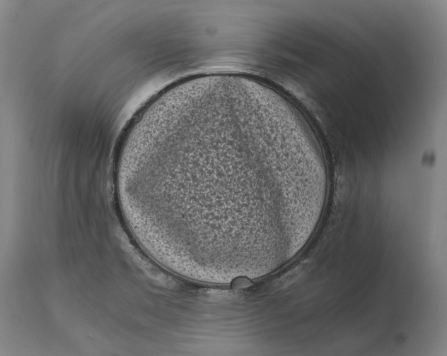 X0000115301469200911161646