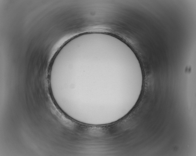 X0000115301470200911161646