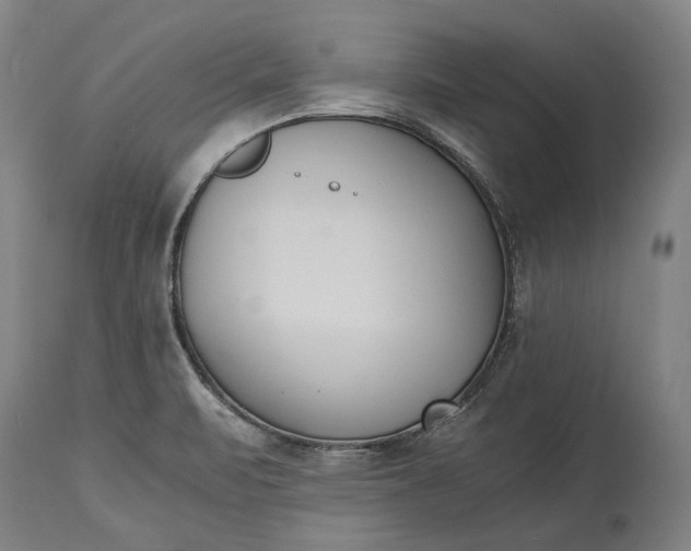 X0000115301471200911161646