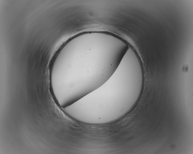 X0000115301472200911161646