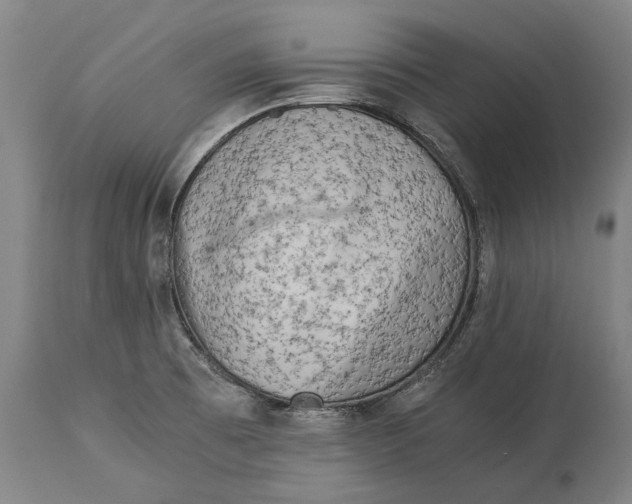 X0000115301473200911161646