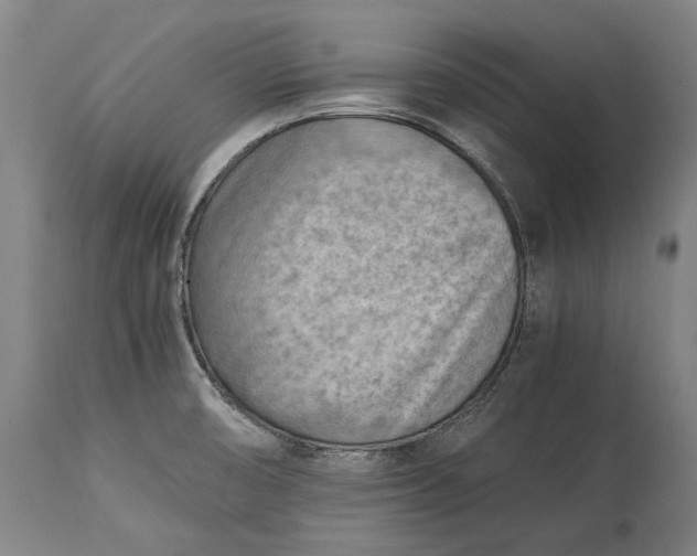 X0000115301474200911161646