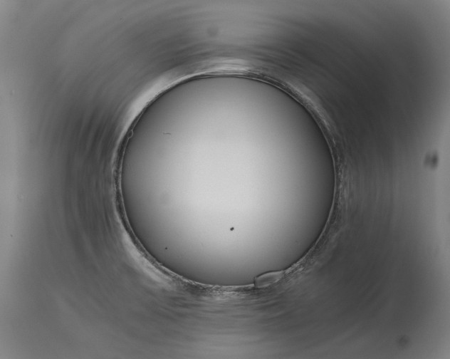 X0000115301475200911161646