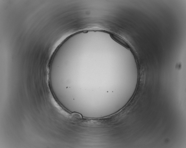 X0000115301476200911161646