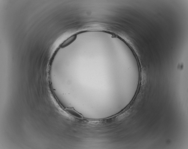 X0000115301477200911161646