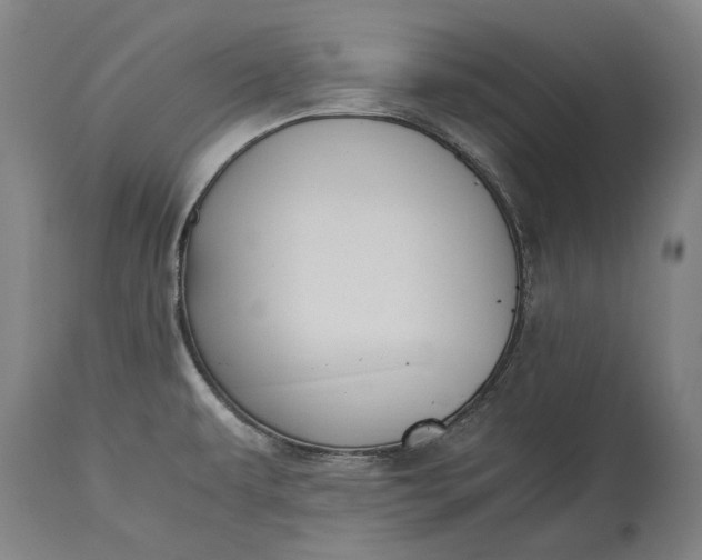 X0000115301479200911161645