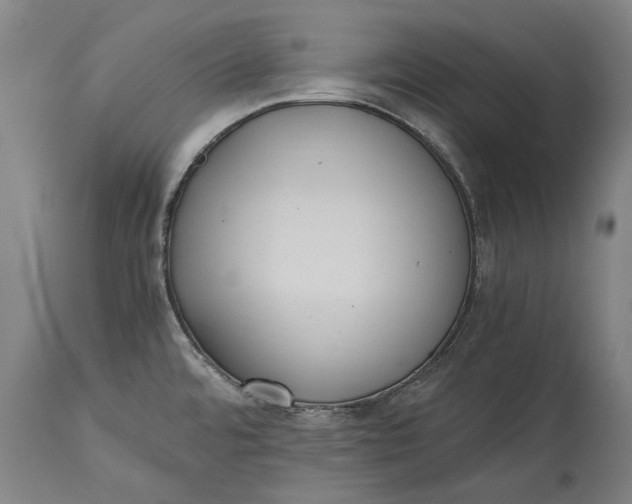 X0000115301480200911161645