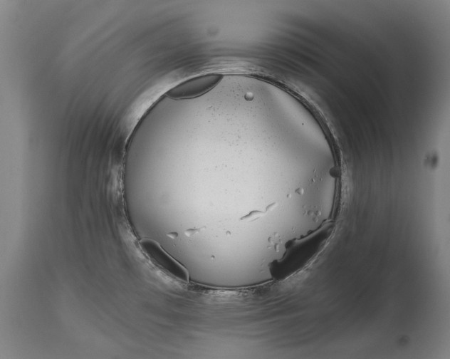 X0000115301481200911161645