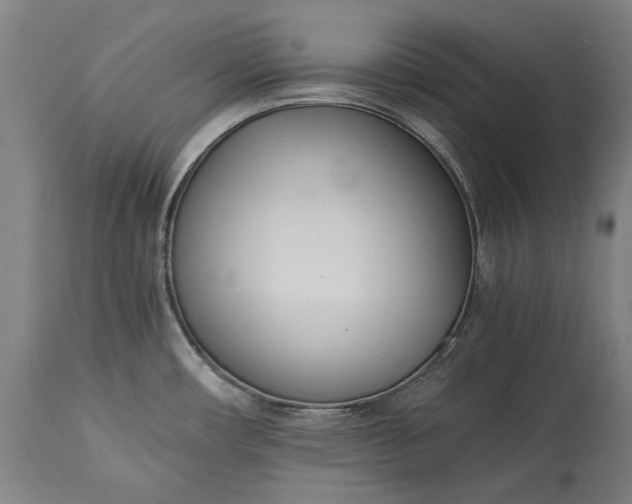 X0000115301482200911161645