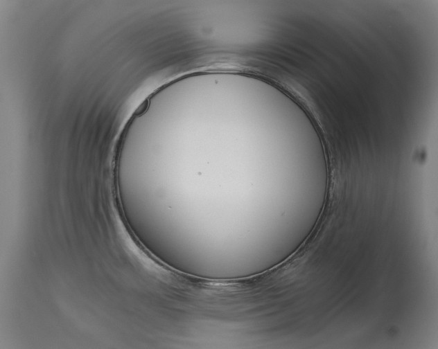 X0000115301483200911161645