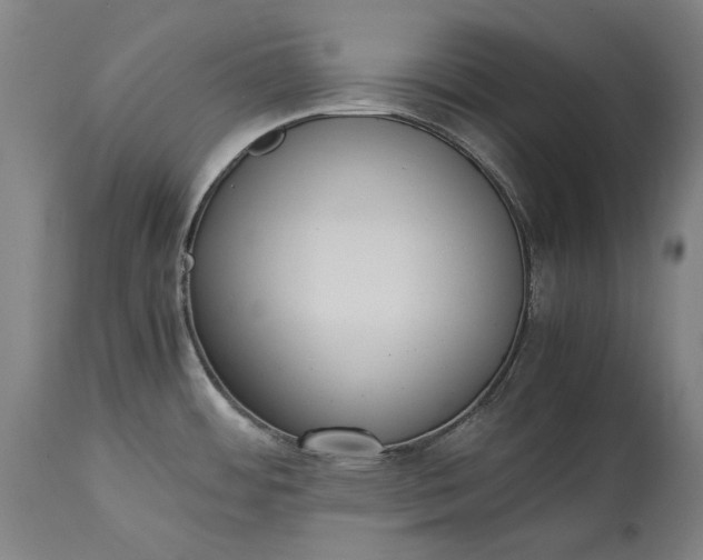 X0000115301484200911161645