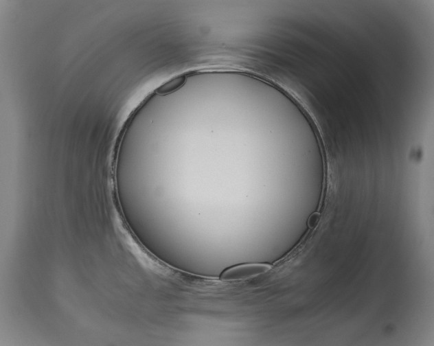 X0000115301485200911161645