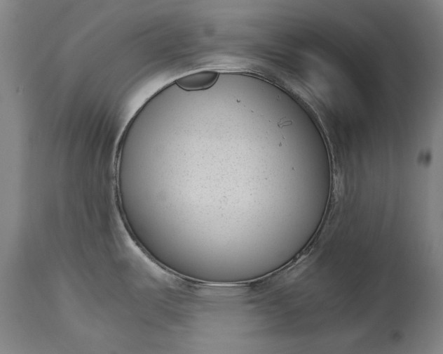 X0000115301487200911161645