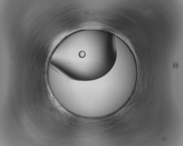 X0000115301488200911161645