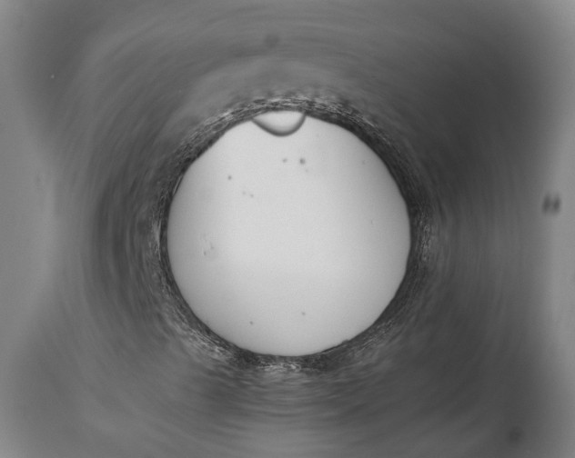 X0000115301489200911161645