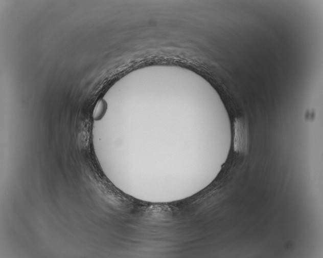 X0000115301491200911161645