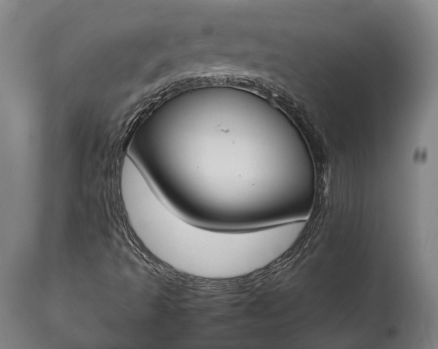 X0000115301493200911161645