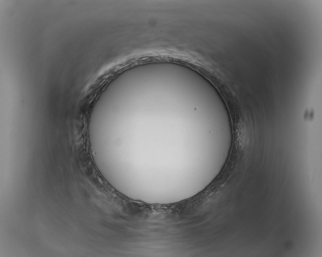 X0000115301494200911161645