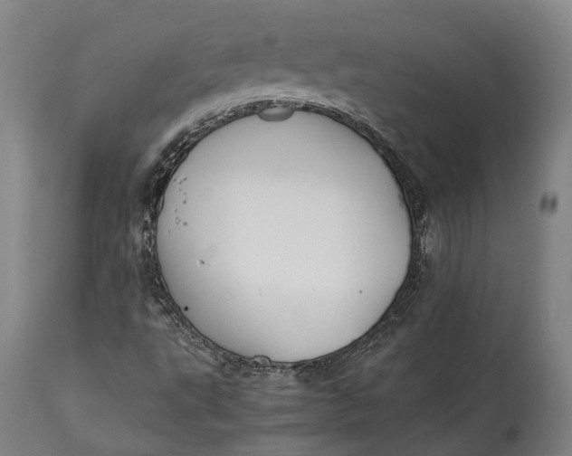 X0000115301495200911161645