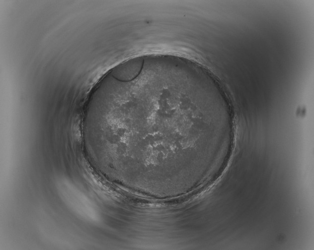 X0000115301497200911161645