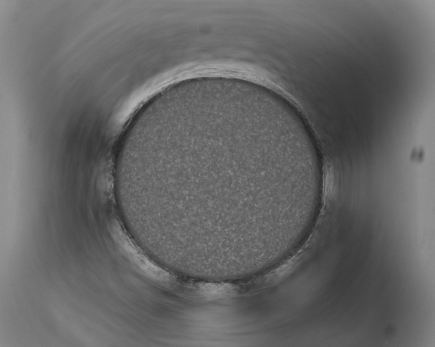 X0000115301498200911161645