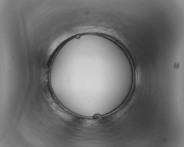 X0000115301501200911161645