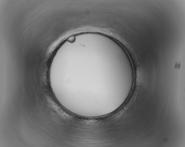 X0000115301502200911161645