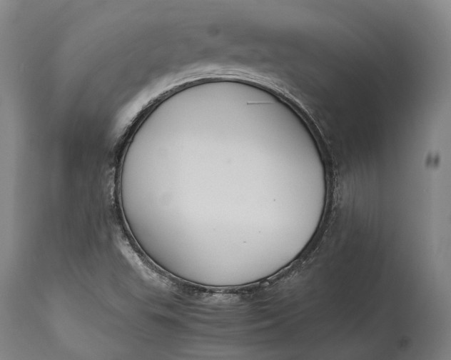 X0000115301503200911161645