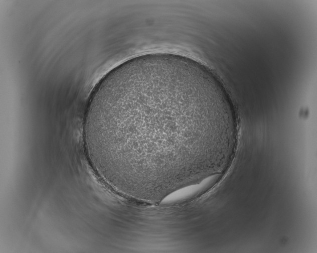 X0000115301505200911161645