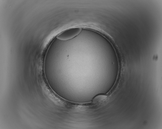 X0000115301506200911161645