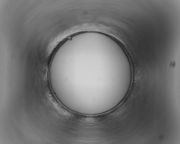 X0000115301507200911161645