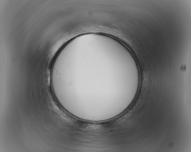 X0000115301509200911161645