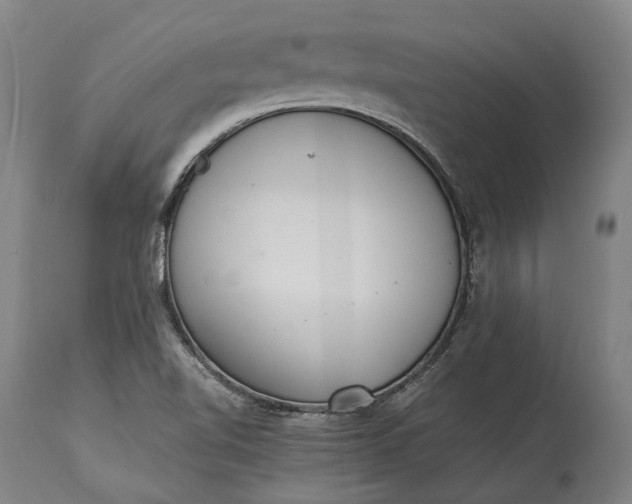 X0000115301510200911161645